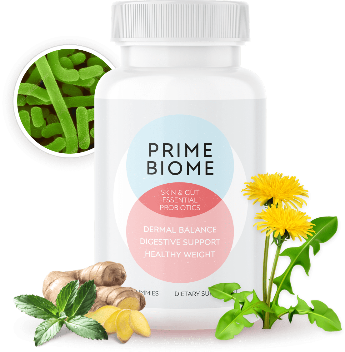 Prime Biome